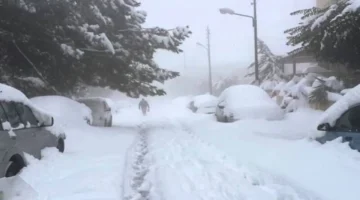 أمطار وثلوج.. منخفض جوي يضرب البلاد بدءاً من ليل الإثنين المقبل